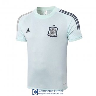 Camiseta Espana Training Green 2020/2021